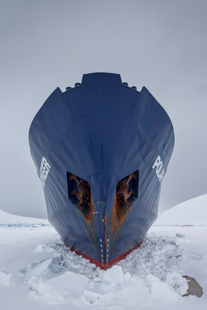 Polar Pioneer
