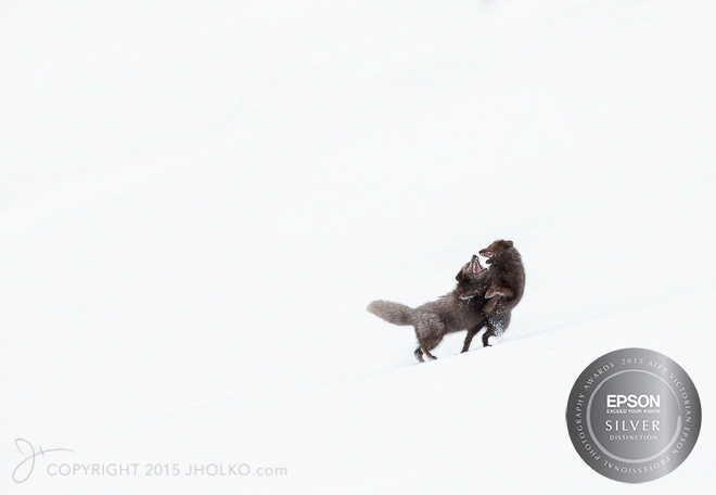 Hornvik-9988-Edit42015