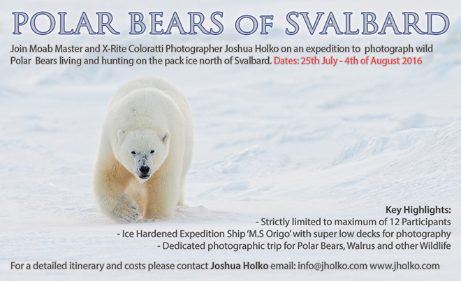 PolarBearsofSvalbard