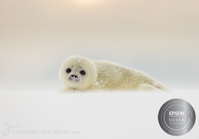 Svalbard-9939-Edit22015