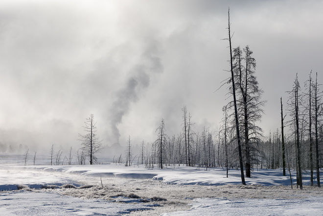 Yellowstone-7096-Edit12015