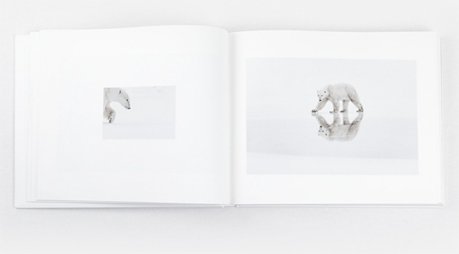 ARCTIQUE Vincent Munier 写真集 Arctique - Vincent Munier - Kobalann