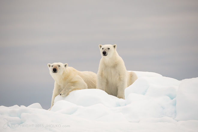 Svalbard-2143-Edit