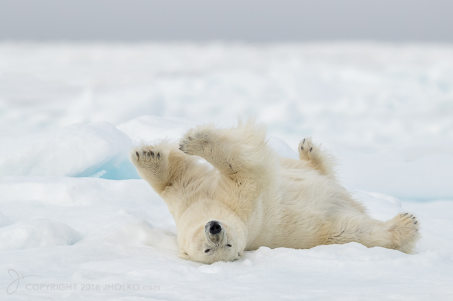Svalbard2016-12283-Edit