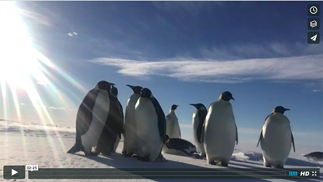 emperorsexpeditionvideo1