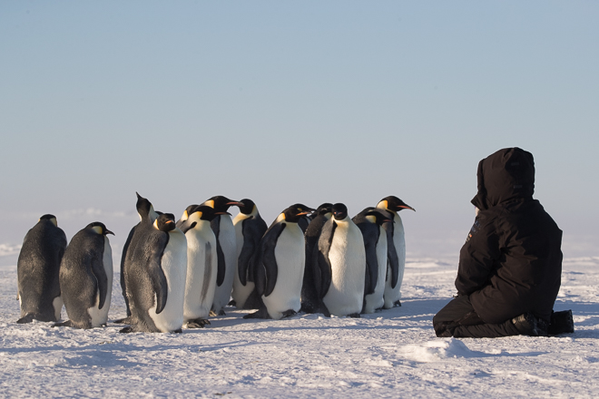 2016-1113-gouldbay-1844