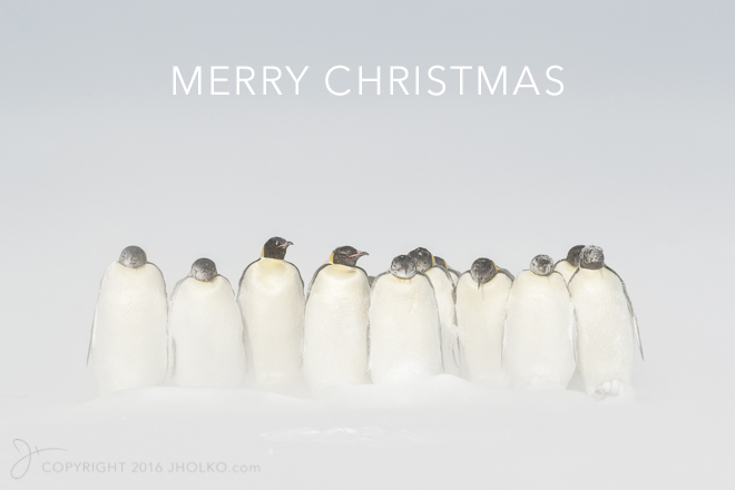 emperorsexpedition2016-13757-edit