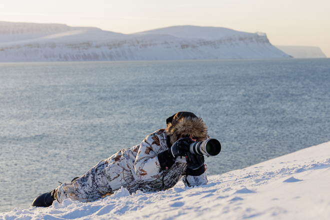 Iceland Winter Arctic Fox Expedition Report February 2022 – www