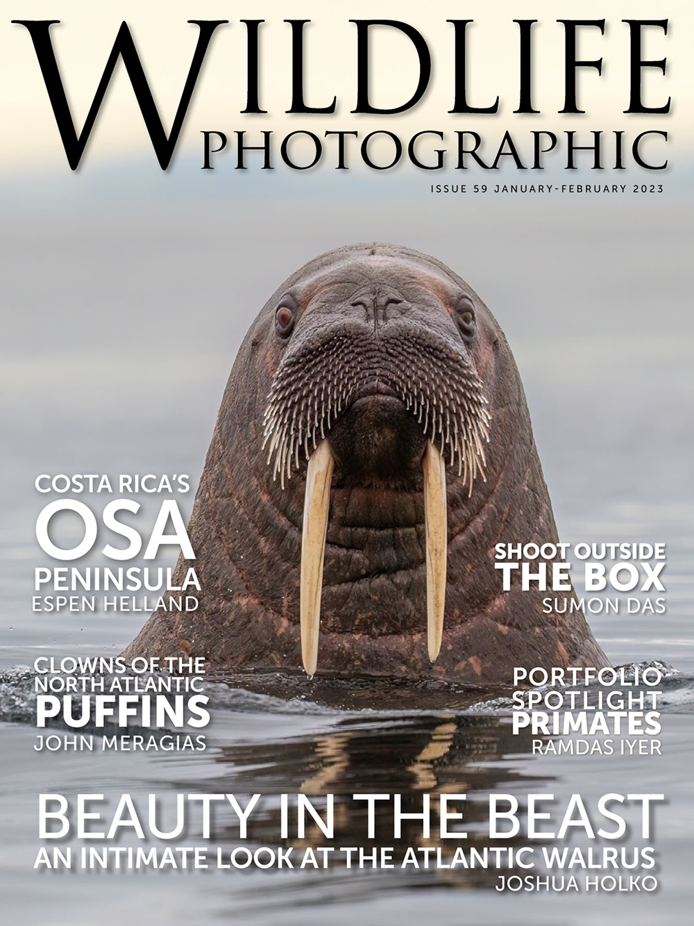 Wildlife Photographic Magazine Walrus Cover Shot Jan / Feb 2023 – www ...