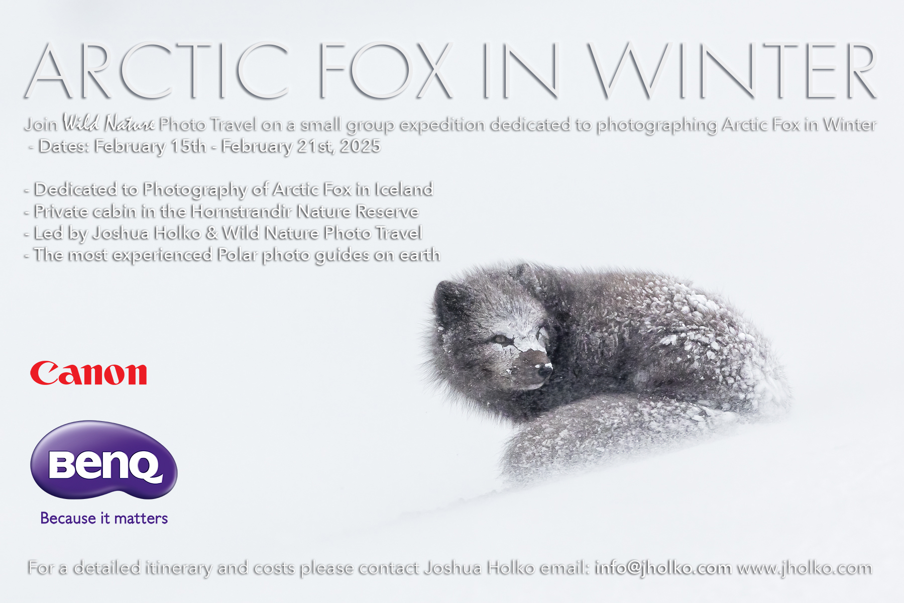 arcticgase - blog Images High Quality Grahic Private Arctic Polar Workshops and Safaris – www.WILDNATUREPHOTOTRAVEL.com