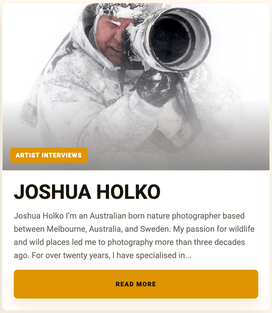 https://gspawards.com/joshua-holko/